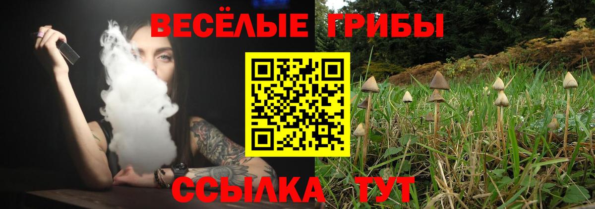 Галлюциногенные грибы Cubensis  Галлюциногенные грибы Magic Shrooms  Вход с VPN  Кириши 